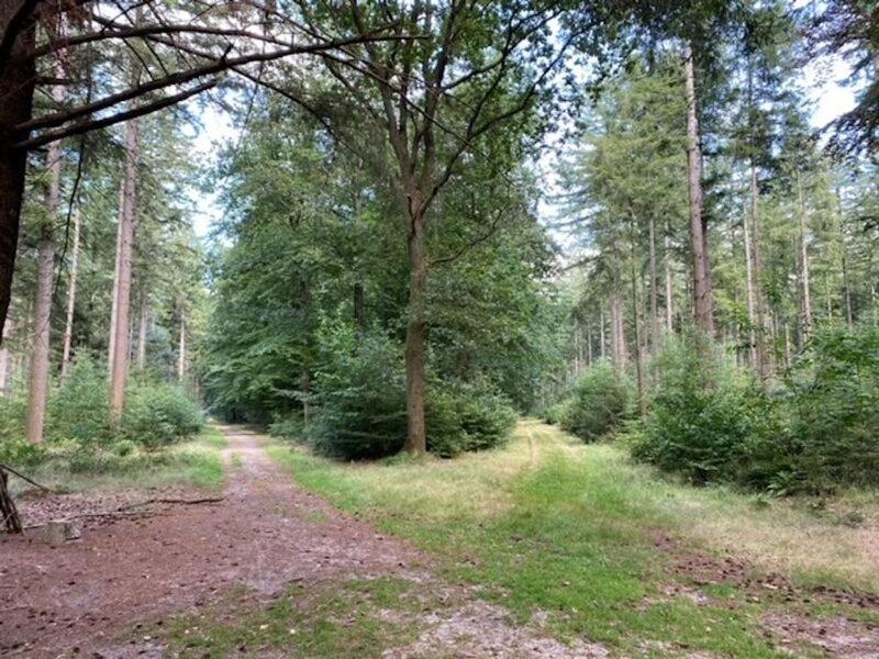 Stacaravan Huren In Het Hart Van Bosrijk Drenthe Op Recreatiepark De Tien Heugten Schoonloo Exterior foto
