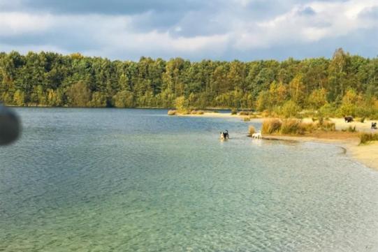 Stacaravan Huren In Het Hart Van Bosrijk Drenthe Op Recreatiepark De Tien Heugten Schoonloo Exterior foto
